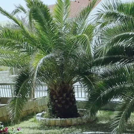 Dospalmerass